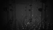 White Shadows, Steam Gift