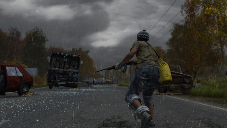 DayZ Deluxe Edition, Steam Gift