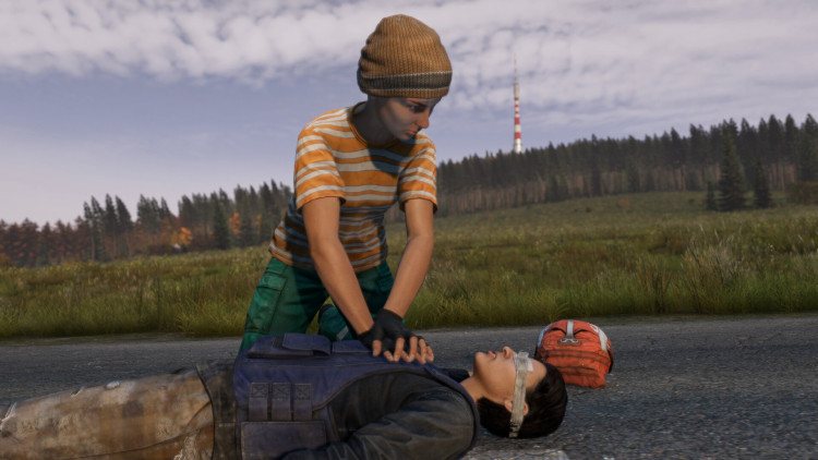 DayZ Deluxe Edition, Steam Gift