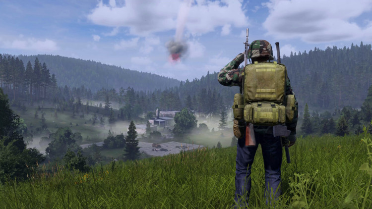 DayZ Deluxe Edition, Steam Gift
