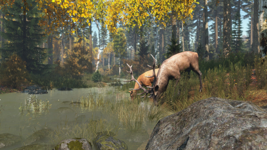 DayZ Deluxe Edition, Steam Gift