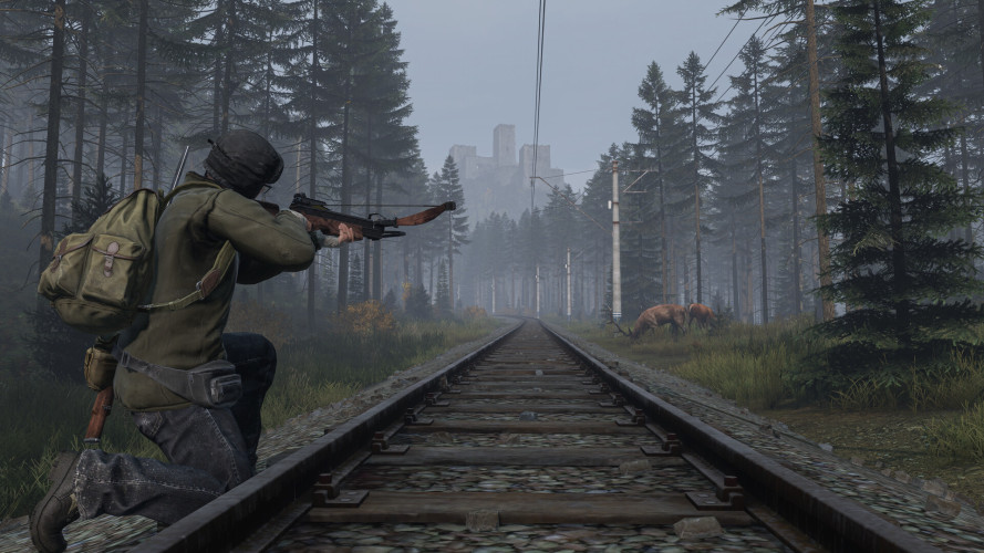 DayZ Deluxe Edition, Steam Gift