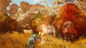 Monster Hunter Wilds, Steam Gift