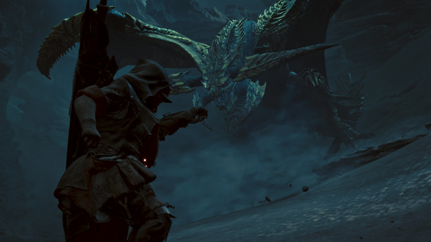 Monster Hunter Wilds, Steam Gift