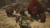Monster Hunter Wilds, Steam Gift