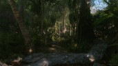 Crysis Remastered, Steam Gift