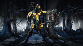 Mortal Kombat X, Steam Gift
