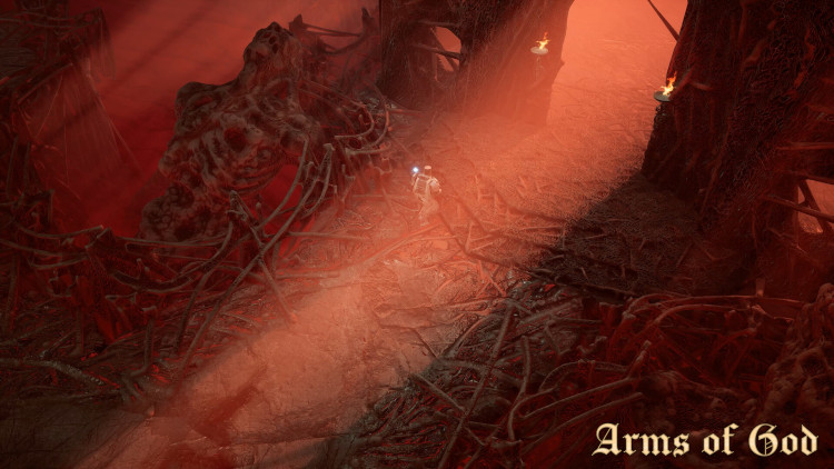 Arms of God, Steam Gift