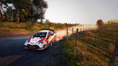 WRC 9 FIA World Rally Championship, Steam Gift
