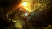 Ori and the Will of the Wisps, Steam Gift