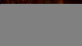 Ori and the Will of the Wisps, Steam Gift