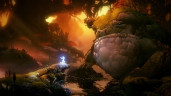 Ori and the Will of the Wisps, Steam Gift