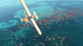 Microsoft Flight Simulator (2020) 40th Anniversary Deluxe Edition, Steam Gift