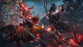 Nioh 3, Steam Gift