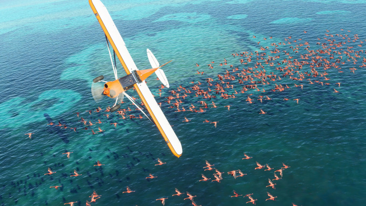 Microsoft Flight Simulator (2020) 40th Anniversary Premium Deluxe Edition, Steam Gift