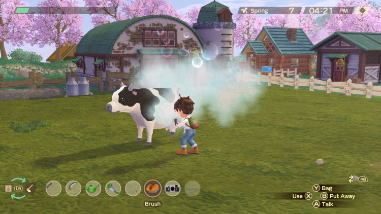 STORY OF SEASONS: A Wonderful Life, Steam Gift