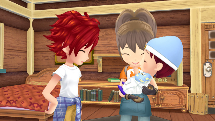 STORY OF SEASONS: A Wonderful Life, Steam Gift