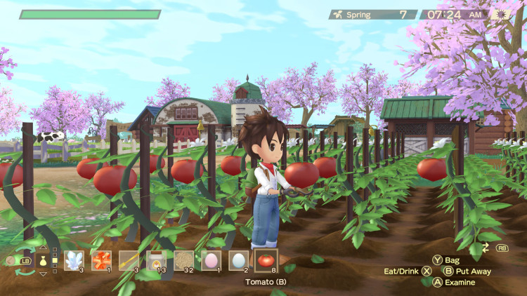 STORY OF SEASONS: A Wonderful Life, Steam Gift