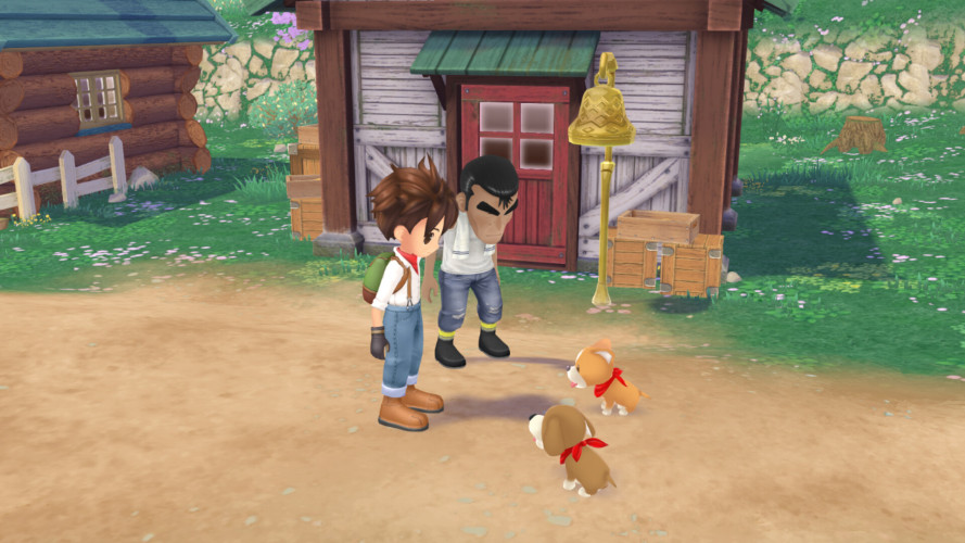STORY OF SEASONS: A Wonderful Life, Steam Gift