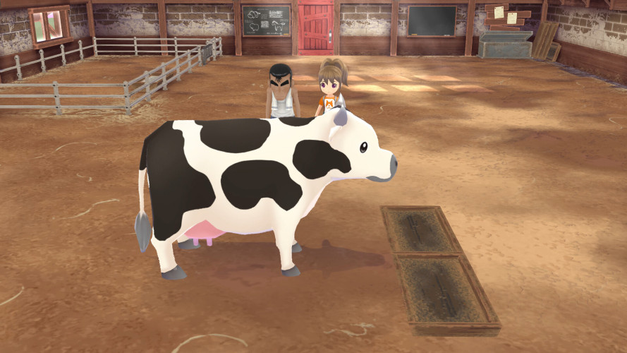 STORY OF SEASONS: A Wonderful Life, Steam Gift