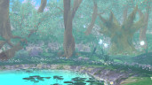 STORY OF SEASONS: A Wonderful Life, Steam Gift