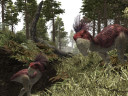 Gothic® 3 ArcaniA + Gothic Pack, Steam Gift