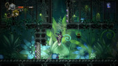 Never Grave: The Witch and The Curse, Steam Gift