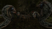 Gothic II: Gold Edition, Steam Gift
