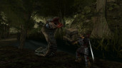 Gothic II: Gold Edition, Steam Gift