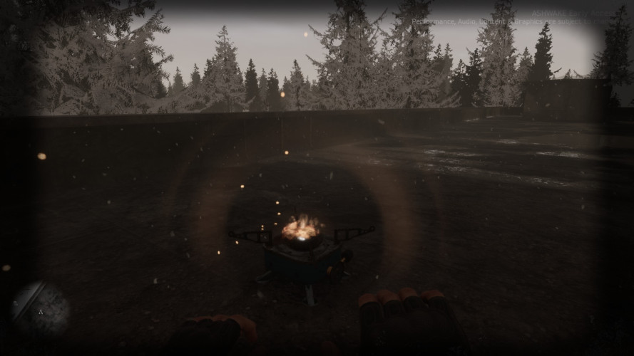 ASHWAKE, Steam Gift