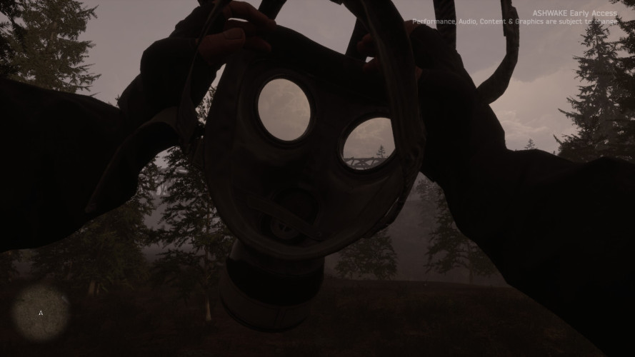 ASHWAKE, Steam Gift