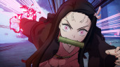 Demon Slayer -Kimetsu no Yaiba- The Hinokami Chronicles, Steam Gift