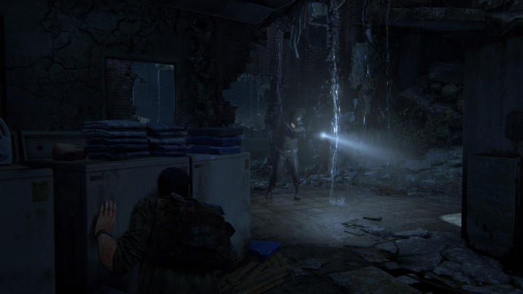 The Last of Us™ Part I, Steam Gift