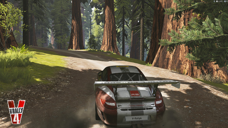 V-Rally 4, Steam Gift
