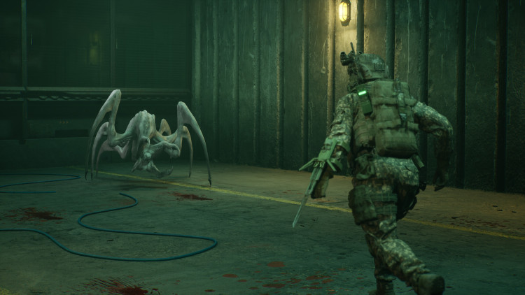 ENTITY: THE BLACK DAY, Steam Gift