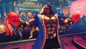 Street Fighter V - Champion Edition + Season 5 Premium Pass Bundle, Steam Gift