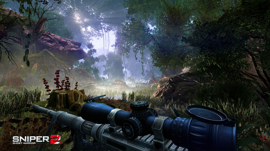 Sniper - Ghost Warrior 2 Collector's Edition, Steam Gift