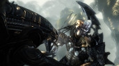 Aliens VS Predator Collection, Steam Gift