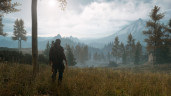 Days Gone, Steam Gift