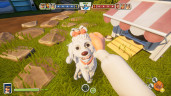Neighbors: Suburban Warfare, Steam Gift