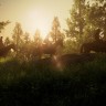 Игра The Last of Us Part I Edition Steam для региона для СНГ кроме РФ и РБ цифровой ключ