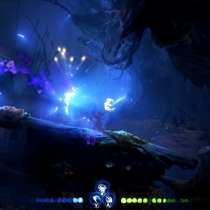 Ori and the Will of the Wisps Xbox + PC