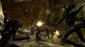 Aliens vs. Predator, Steam Gift