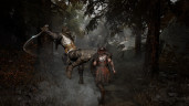 Mistfall Hunter, Steam Gift