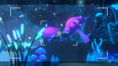 Beasts of Maravilla Island, Steam Gift