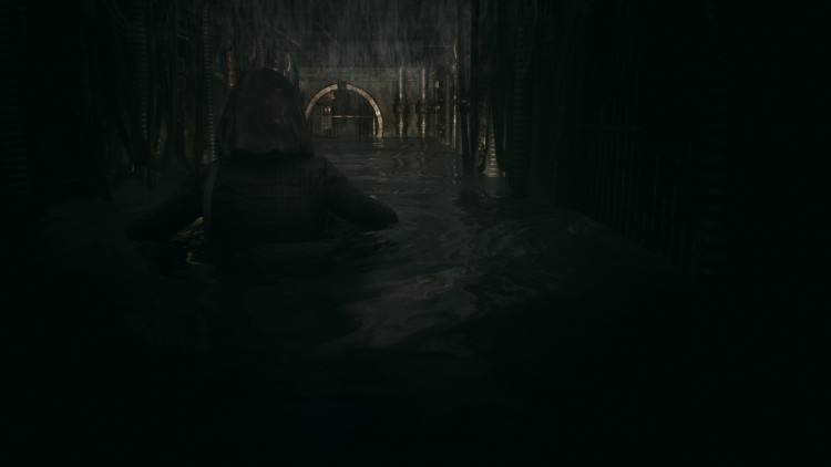 Remothered: Tormented Fathers, Steam Gift