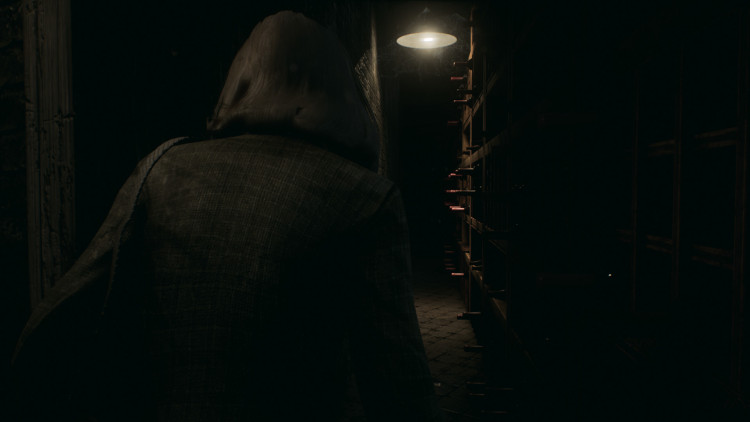 Remothered: Tormented Fathers, Steam Gift
