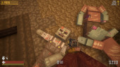 Blocks and Bones, Steam Gift
