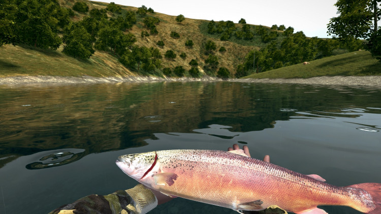 Ultimate Fishing Simulator, Steam Gift
