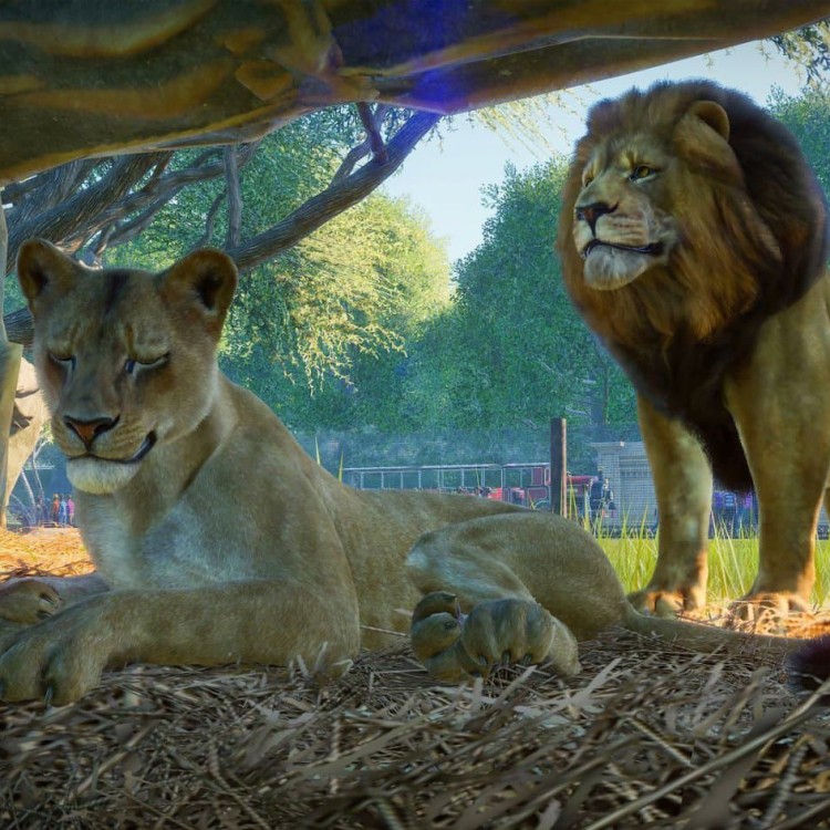 Игра Planet Zoo Deluxe Edition для PC / ПК, активация в стим Steam для региона РФ / Россия цифровой ключ